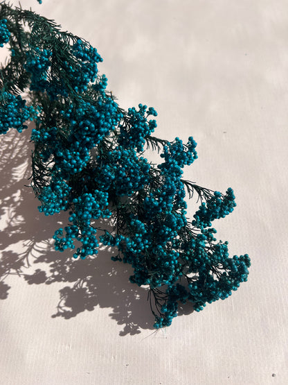 Preserved Rice Flower in Peacock Blue