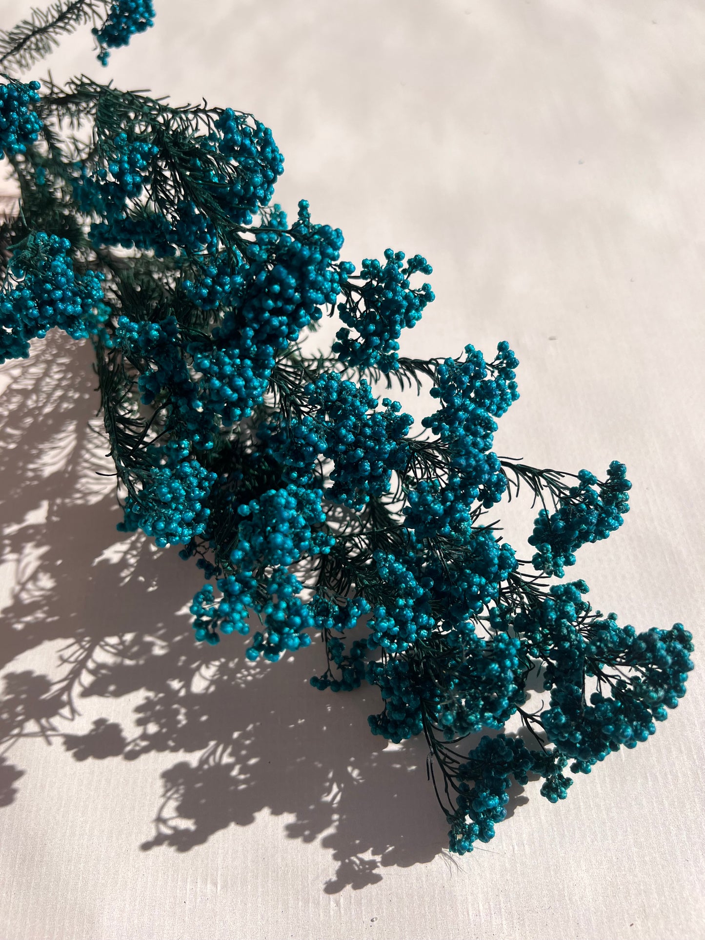 Preserved Rice Flower in Peacock Blue