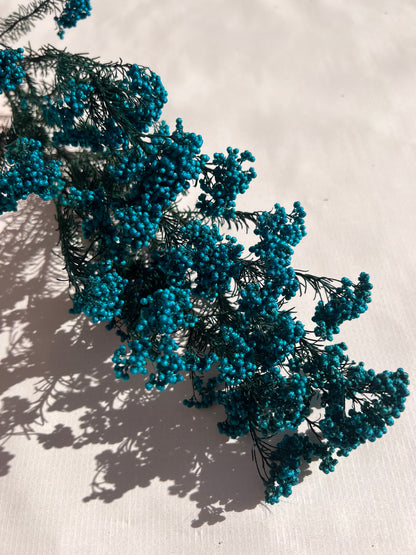 Preserved Rice Flower in Peacock Blue